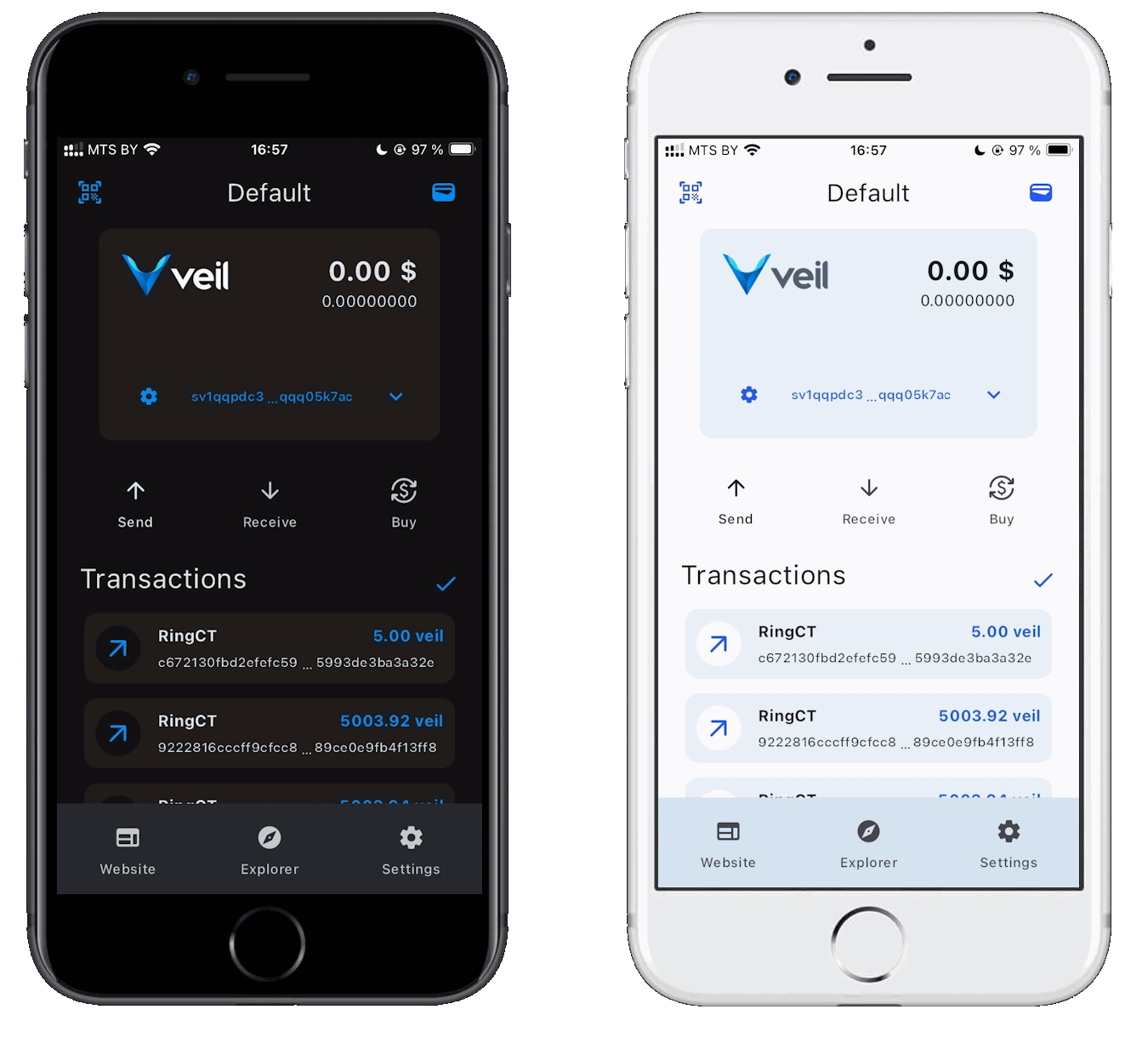 A crossplatform veil light wallet written with dart/flutter. Image by aleksandr_samochernyi on Freepik 